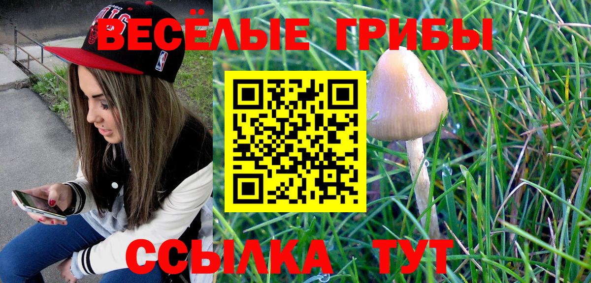 Галлюциногенные грибы прущие грибы  Галлюциногенные грибы MAGIC MUSHROOMS  Вход с VPN  Рыбинск 